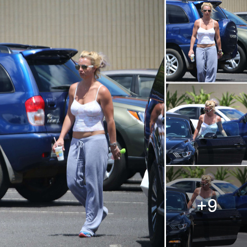 Britney Spears Enjoys a Shopping Spree in Hawaii